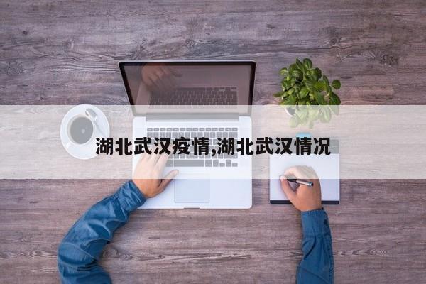 湖北武汉疫情,湖北武汉情况
